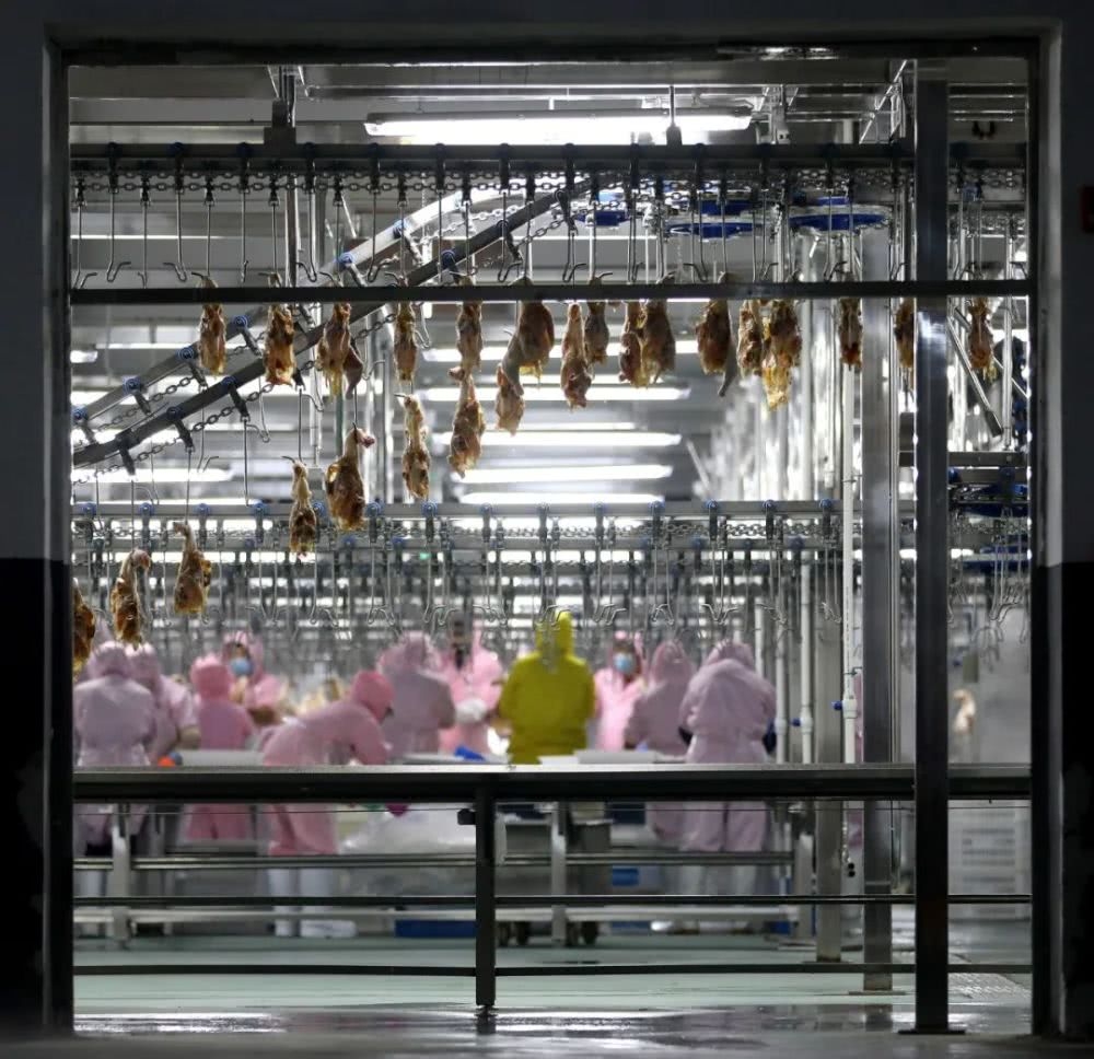 1583922685869136.jpg 1004.jpg